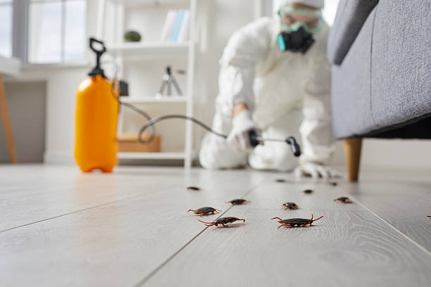 Trusted Mosquito Control service in Six Mile, SC - Nex Pest Control